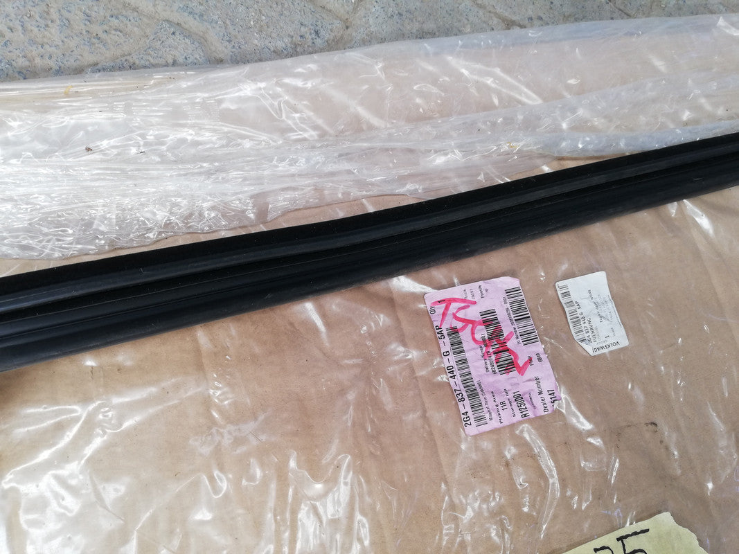 Volkswagen Polo Comfortline 2021 Right Front Window Guide