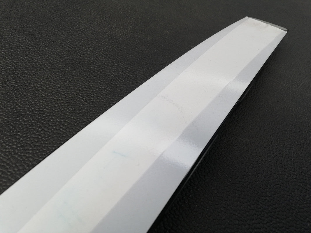 Volkswagen Golf Left Rear Door Blackout Moulding