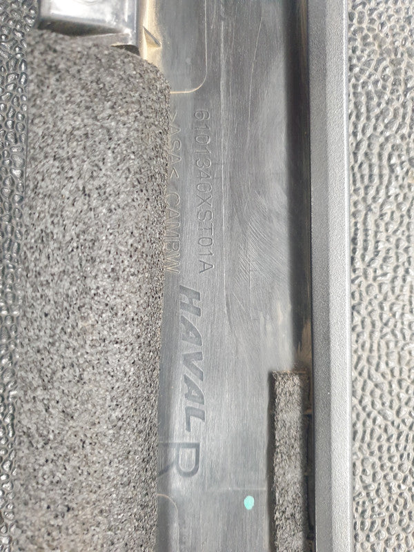 Haval Jolion 1.5T 2021 Right Front Door Blackout Moulding