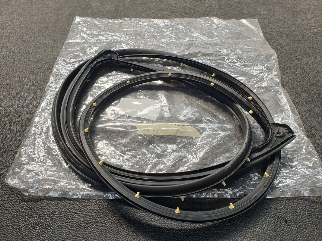 Ford Ranger Left Rear Door Seal Rubber