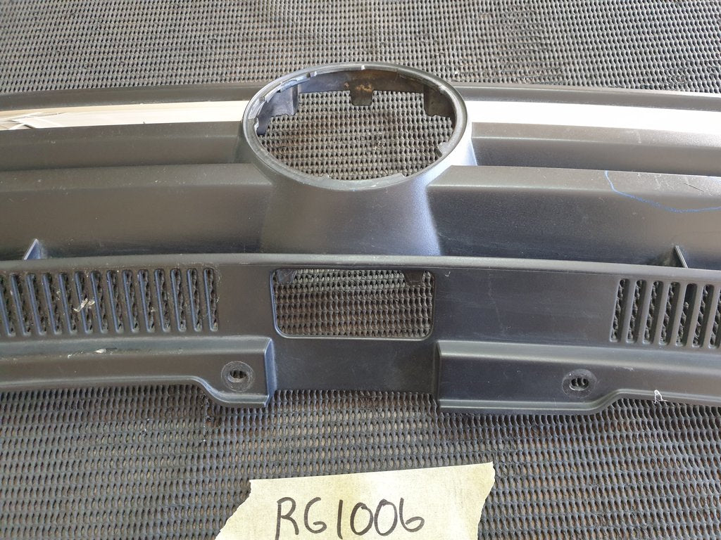 Volkswagen Polo Radiator Grille - Wear and Tear, Scratches