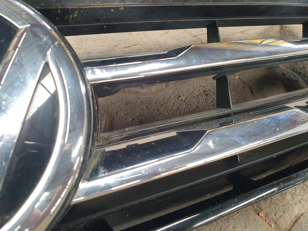 Volkswagen Tiguan Radiator Grille Assy with Emblem/Badge