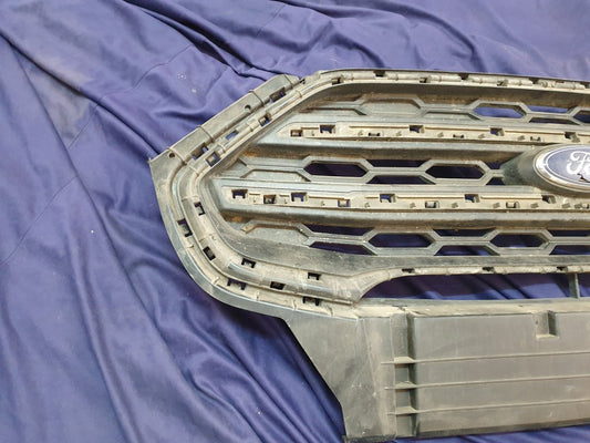 Ford Ecosport Radiator Grille - Wear and Tear, Crack