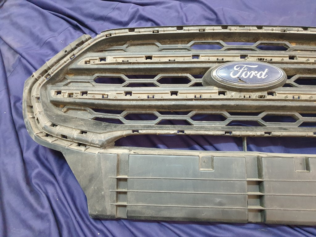 Ford Ecosport Radiator Grille - Wear and Tear, Crack