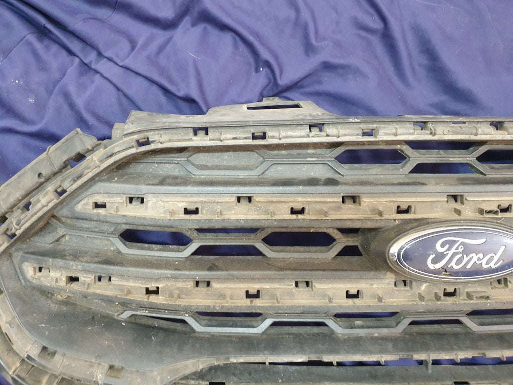 Ford Ecosport Radiator Grille - Wear and Tear, Crack