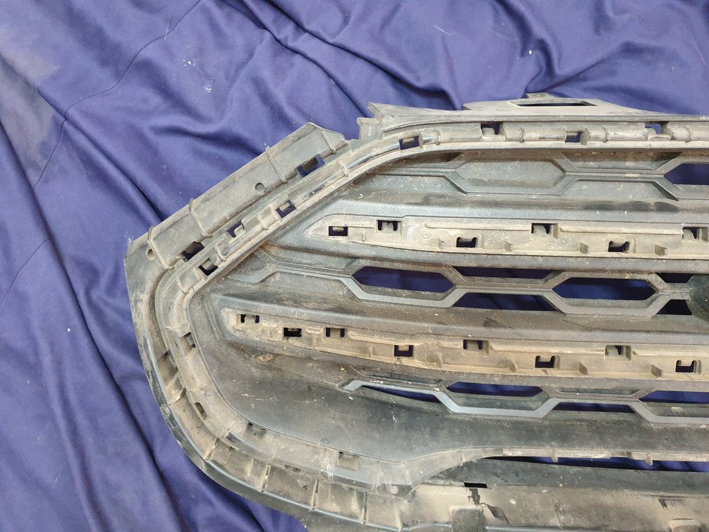 Ford Ecosport Radiator Grille - Wear and Tear, Crack