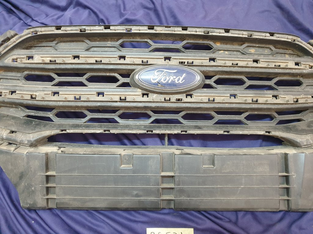 Ford Ecosport Radiator Grille - Wear and Tear, Crack