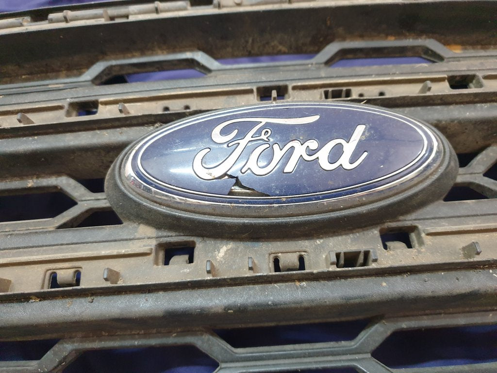 Ford Ecosport Radiator Grille - Wear and Tear, Crack
