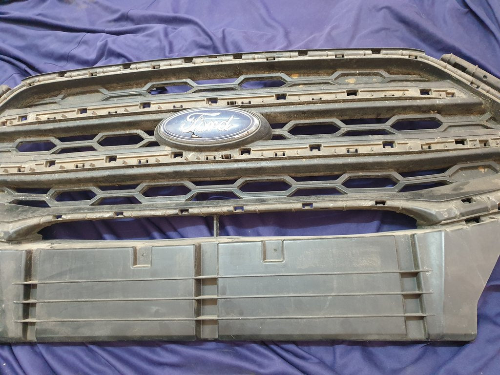 Ford Ecosport Radiator Grille - Wear and Tear, Crack
