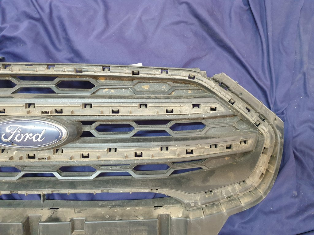 Ford Ecosport Radiator Grille - Wear and Tear, Crack