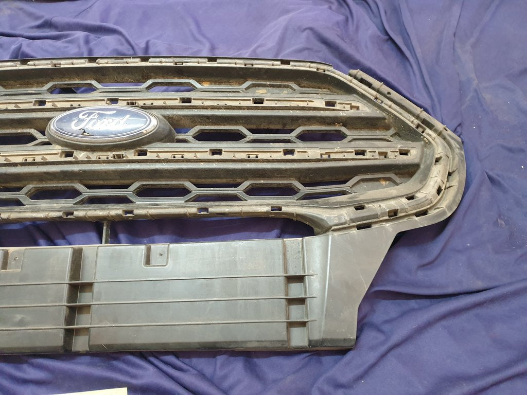 Ford Ecosport Radiator Grille - Wear and Tear, Crack