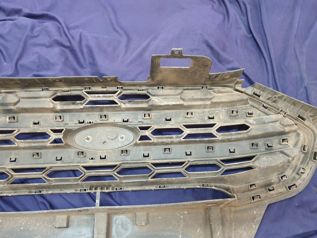 Ford Ecosport Radiator Grille - Wear and Tear, Crack
