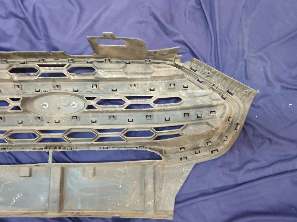 Ford Ecosport Radiator Grille - Wear and Tear, Crack