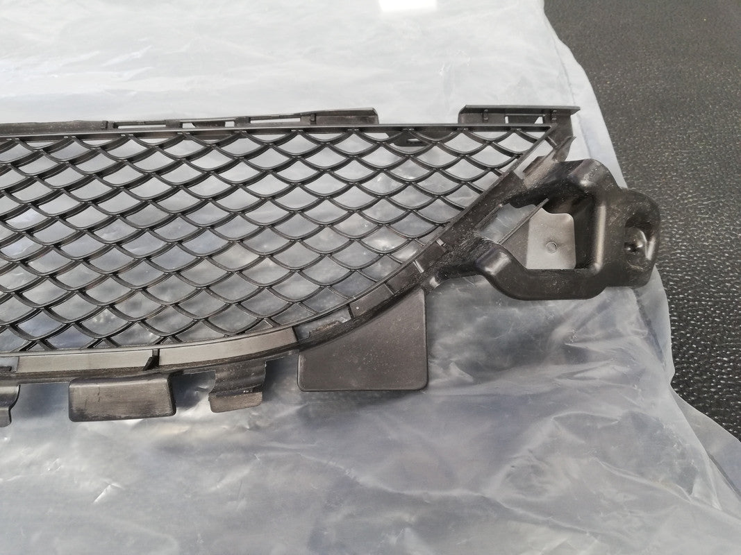 Mercedes-Benz Aftermarket C-Class W205 2018 Front Bumper Centre Mesh