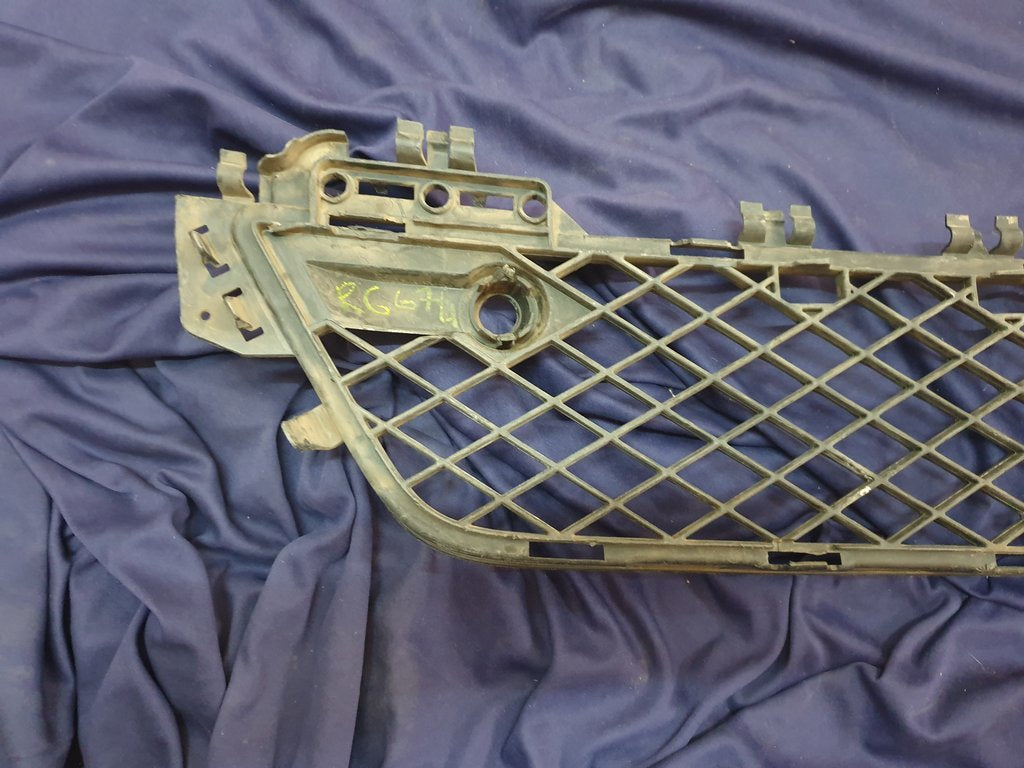 Mercedes-Benz C-Class W204 Front Bumper Mesh