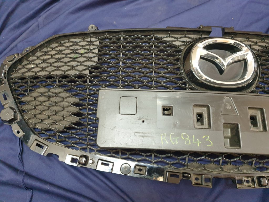 Mazda 3 Radiator Grille - Wear and Tear, Minor damage to mesh