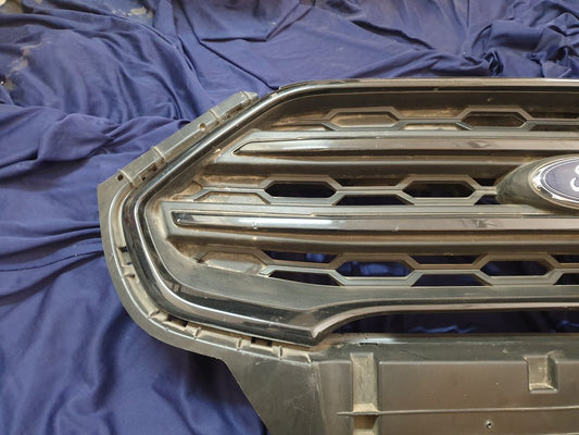 Ford Ecosport Radiator Grille - Wear and Tear, Scuffs