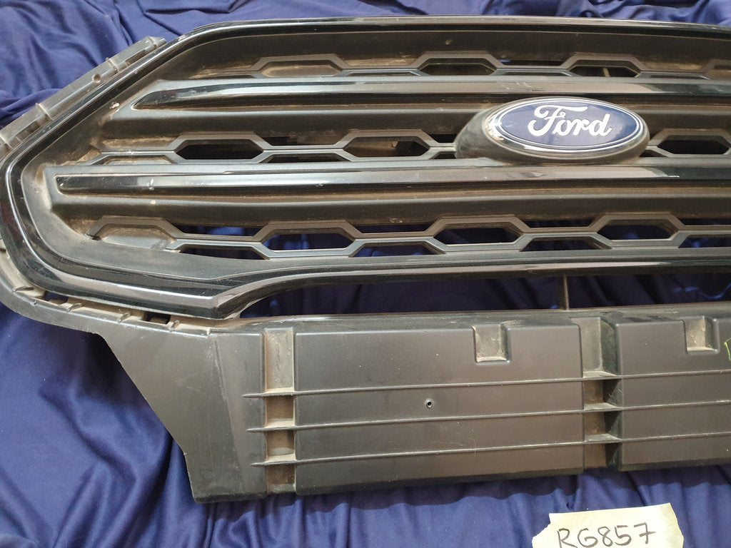 Ford Ecosport Radiator Grille - Wear and Tear, Scuffs
