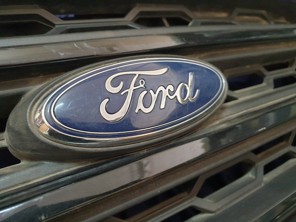 Ford Ecosport Radiator Grille - Wear and Tear, Scuffs
