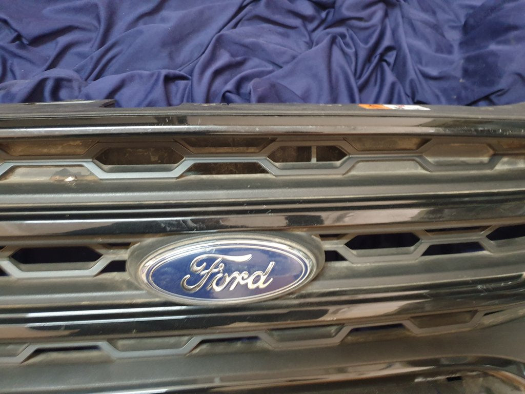 Ford Ecosport Radiator Grille - Wear and Tear, Scuffs