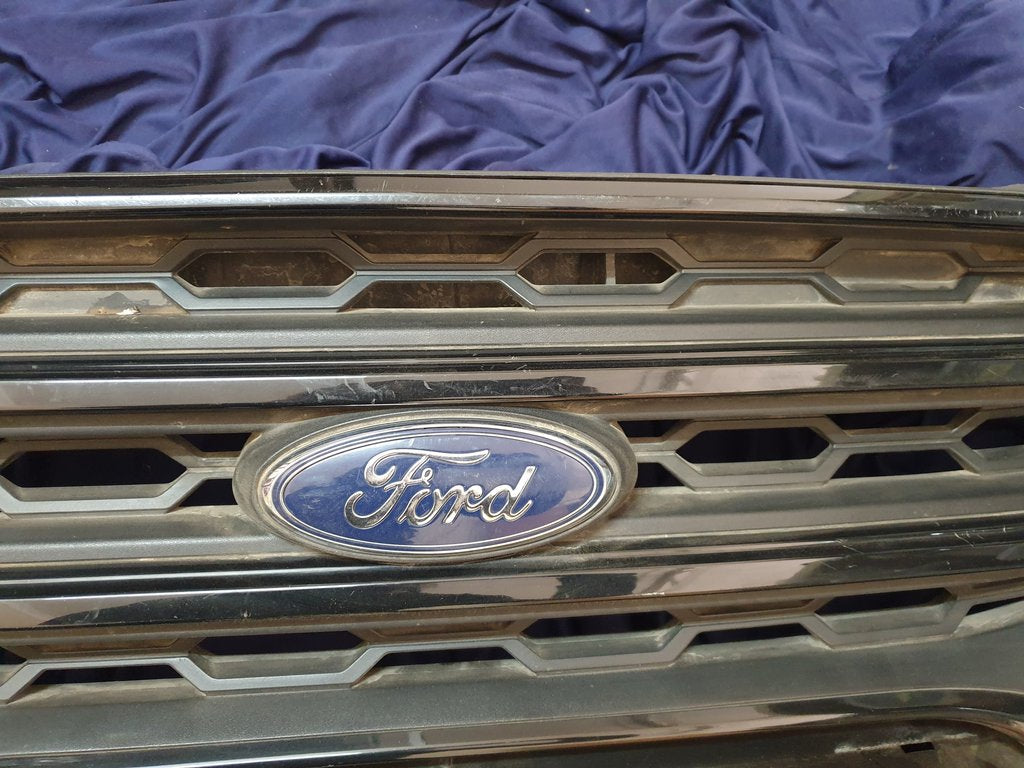 Ford Ecosport Radiator Grille - Wear and Tear, Scuffs