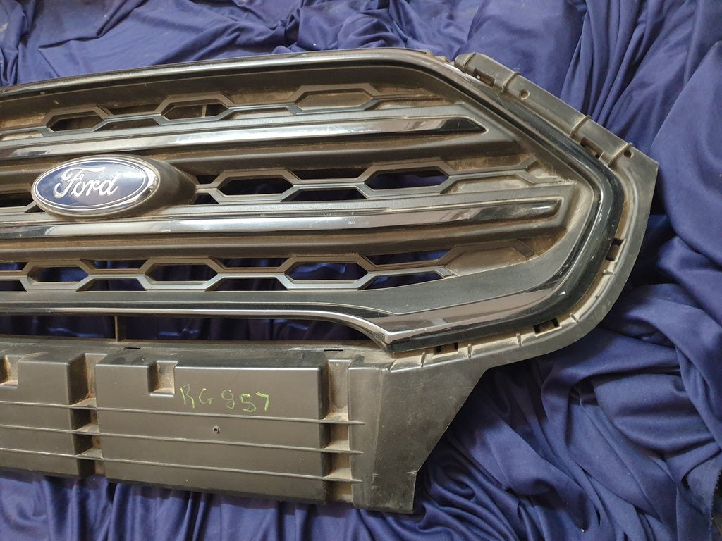 Ford Ecosport Radiator Grille - Wear and Tear, Scuffs