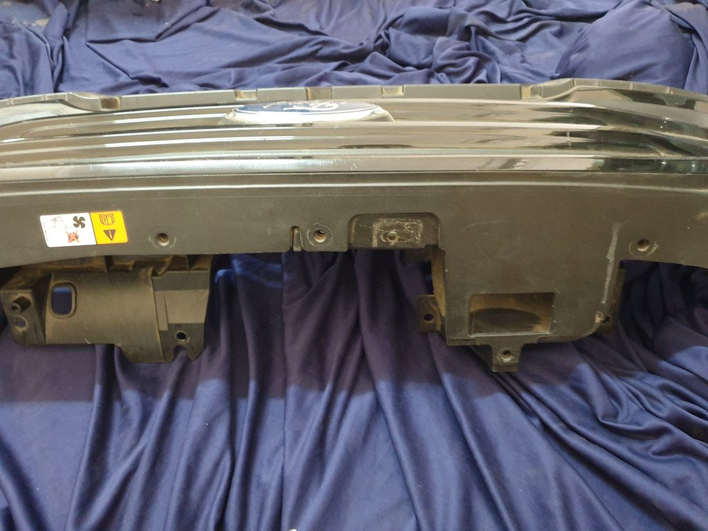 Ford Ecosport Radiator Grille - Wear and Tear, Scuffs