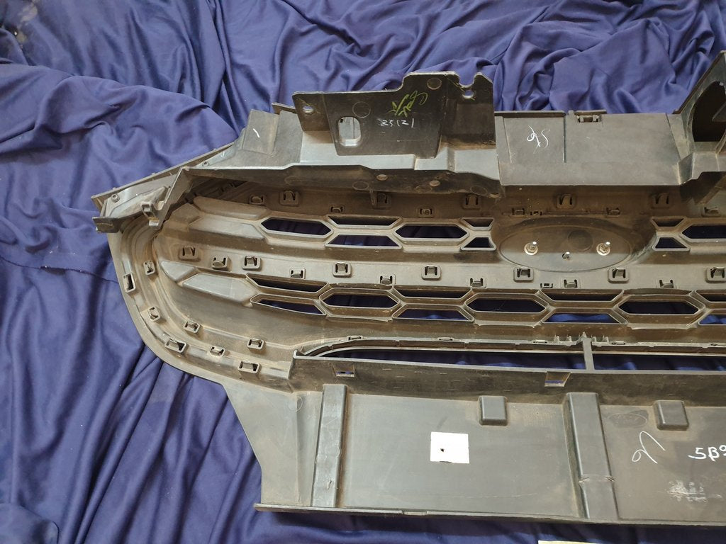 Ford Ecosport Radiator Grille - Wear and Tear, Scuffs