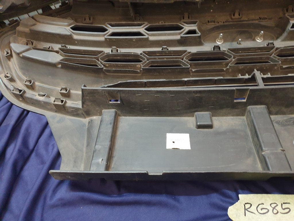 Ford Ecosport Radiator Grille - Wear and Tear, Scuffs
