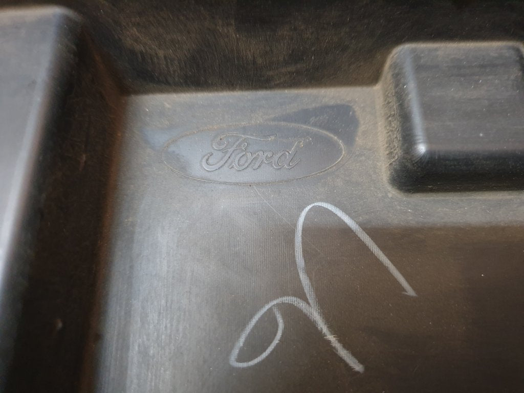 Ford Ecosport Radiator Grille - Wear and Tear, Scuffs