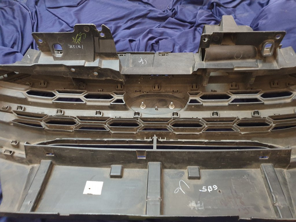 Ford Ecosport Radiator Grille - Wear and Tear, Scuffs