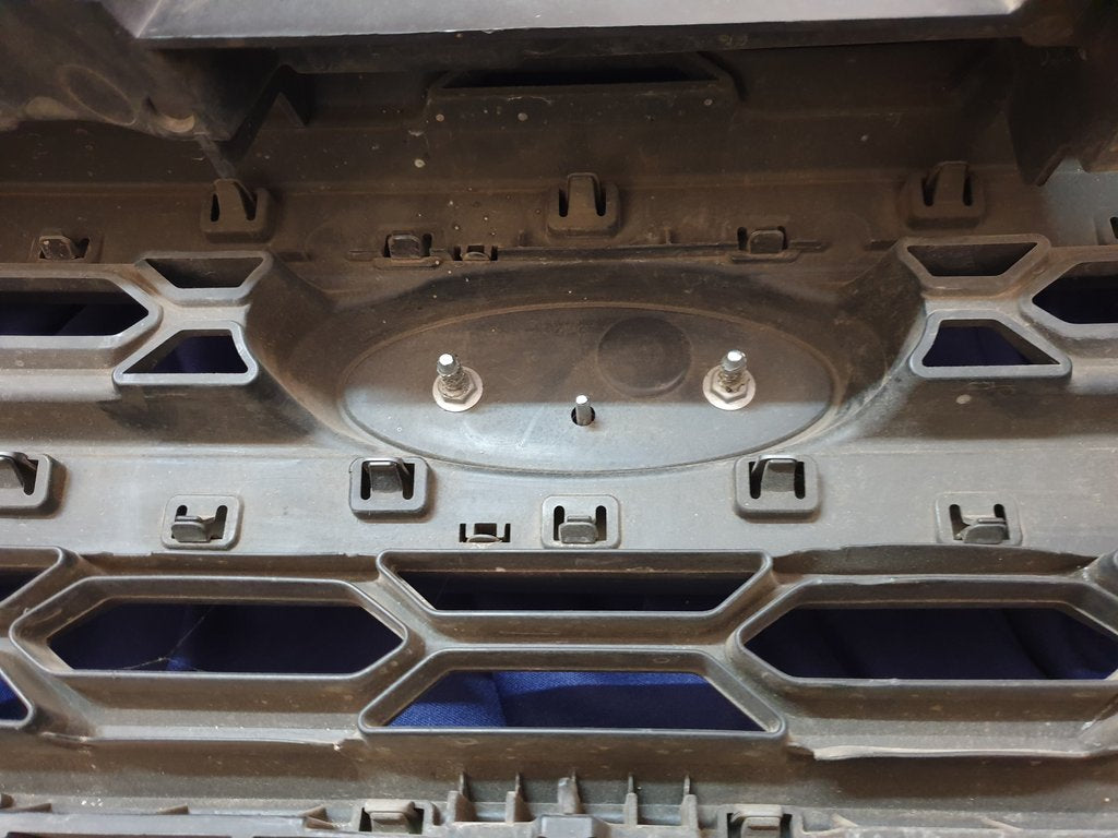 Ford Ecosport Radiator Grille - Wear and Tear, Scuffs