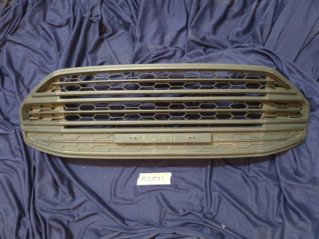 Ford Ecosport Radiator Grille - Wear and Tear