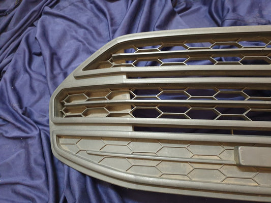 Ford Ecosport Radiator Grille - Wear and Tear