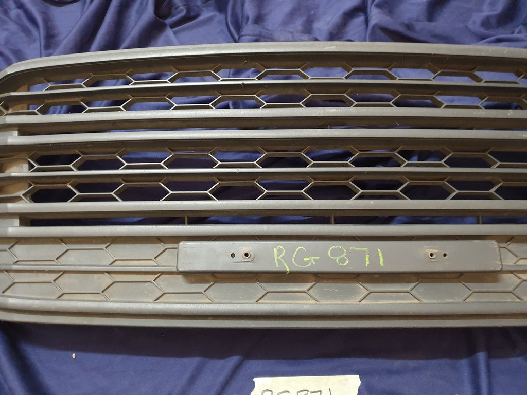 Ford Ecosport Radiator Grille - Wear and Tear