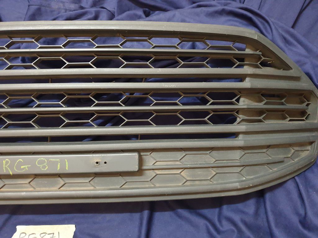 Ford Ecosport Radiator Grille - Wear and Tear
