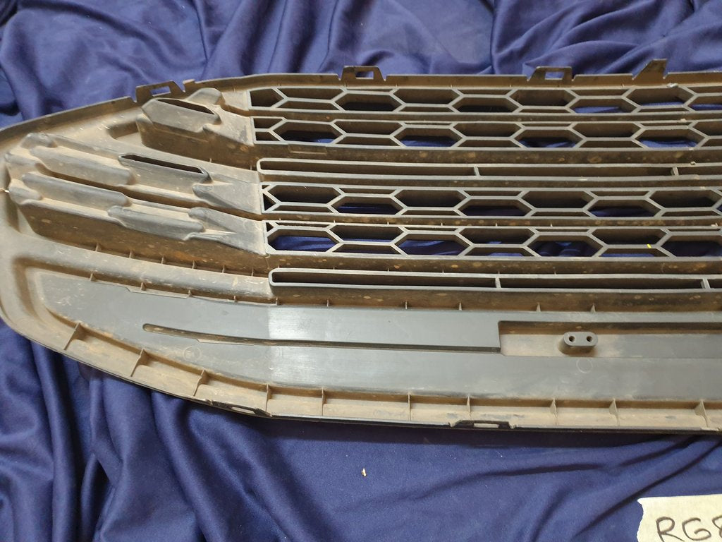 Ford Ecosport Radiator Grille - Wear and Tear