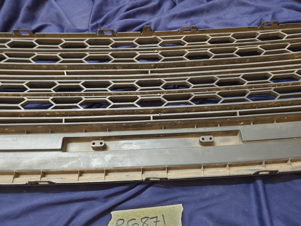 Ford Ecosport Radiator Grille - Wear and Tear