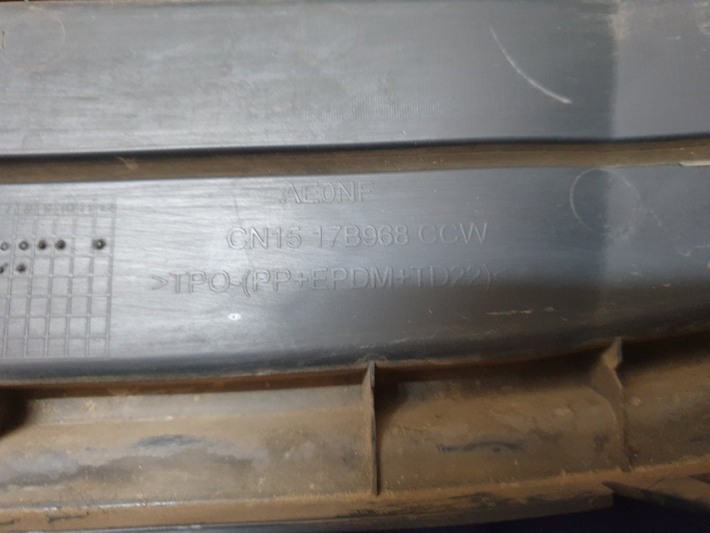 Ford Ecosport Radiator Grille - Wear and Tear