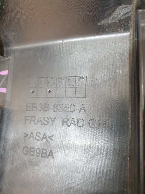 Ford Ranger Radiator Grille - Wear and Tear