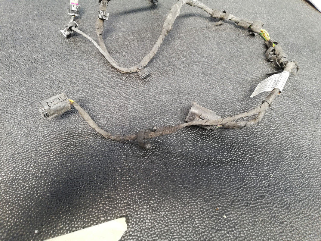 BMW 6 Series Grand F12 2012 PDC Wiring Harness