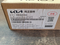 Original New Kia Pegas Left Rear Door Upper Blackout Foil