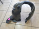 Original New Volkswagen Taigo Right Front Fender Liner