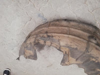 Original Used Toyota Rav 4 2019 Right Rear Wheelhouse Cover, Fender liner