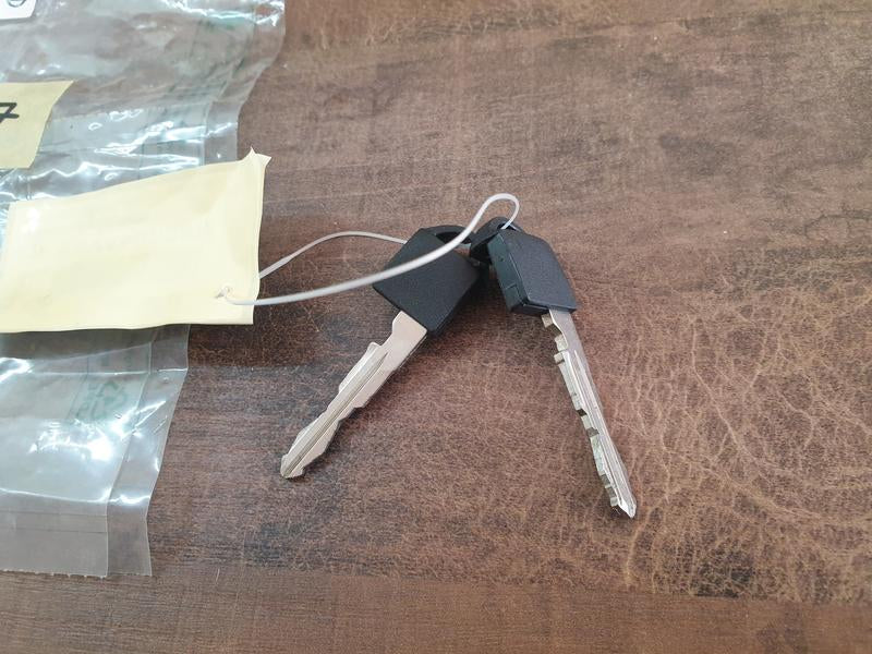Original New Nissan Magnite Door Lock Cylinder