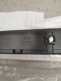 Original New Hyundai Creta 2023 Right Front Door Lower Moulding
