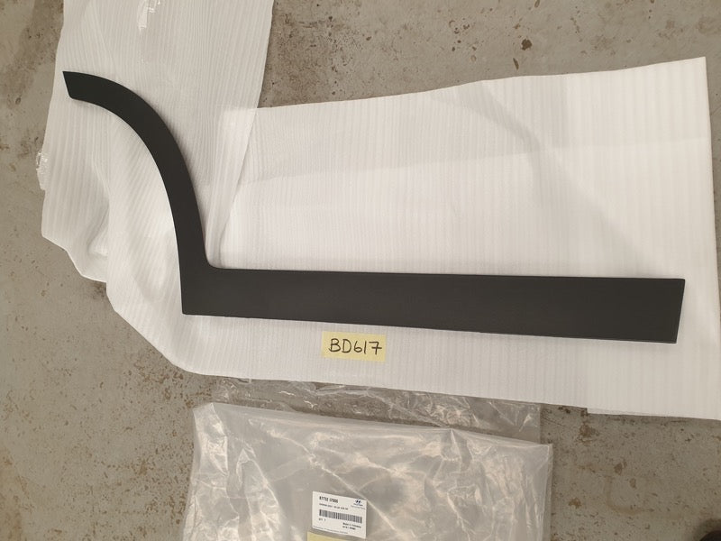 Original New Hyundai Creta 2023 Right Rear Door Lower Moulding