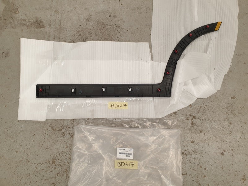 Original New Hyundai Creta 2023 Right Rear Door Lower Moulding