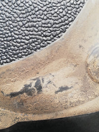 Original Used Toyota Rav4 2019 Right Rear Mudflap