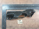 Suzuki Ertiga Toyota Rumion Right Front Bumper Bracket